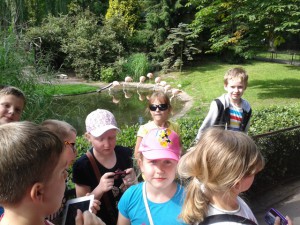Zoo