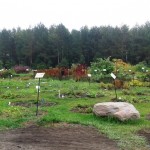 20150925_104217