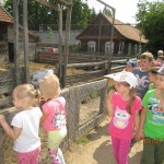 IMG_2485