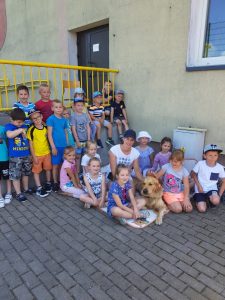 Pies dogoterapeuta w przedszkolu