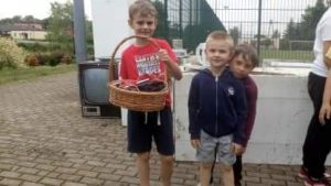 Akcja „Wszystkie dzieci zbierają elektrośmieci”